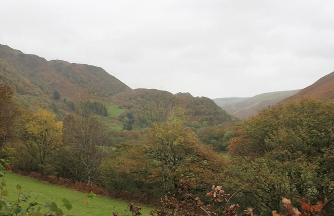 Relaxing pet Friendly 2-bed Cottage in Rhandirmwyn - Foto 9