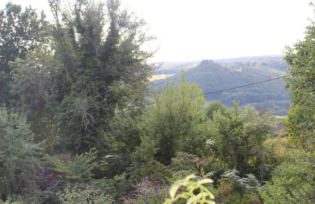 Relaxing pet Friendly 2-bed Cottage in Rhandirmwyn - Foto 10
