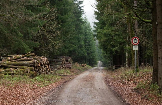Ferienwohnung mit Kamin in Thale-friedrichsbrunn - Foto 27