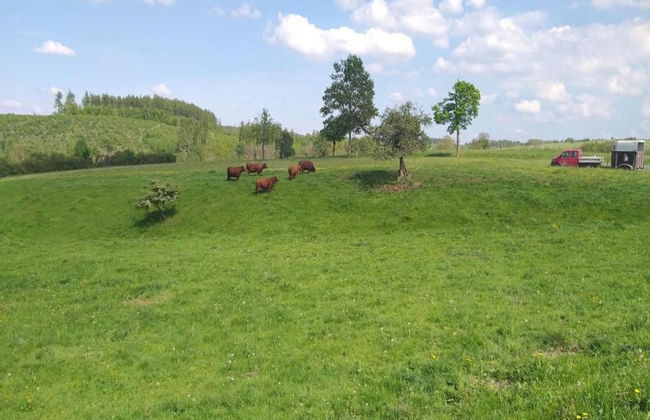 Ferienwohnung mit Kamin in Thale-friedrichsbrunn - Foto 30