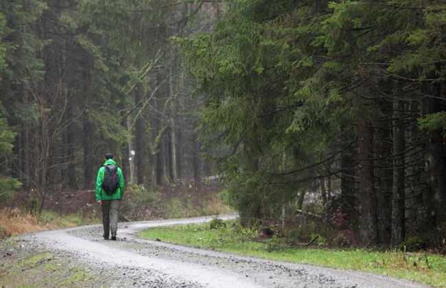 Ferienwohnung mit Kamin in Thale-friedrichsbrunn - Foto 33