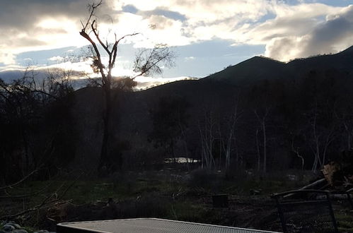 Photo 50 - Sequoia Riverfront Cabins