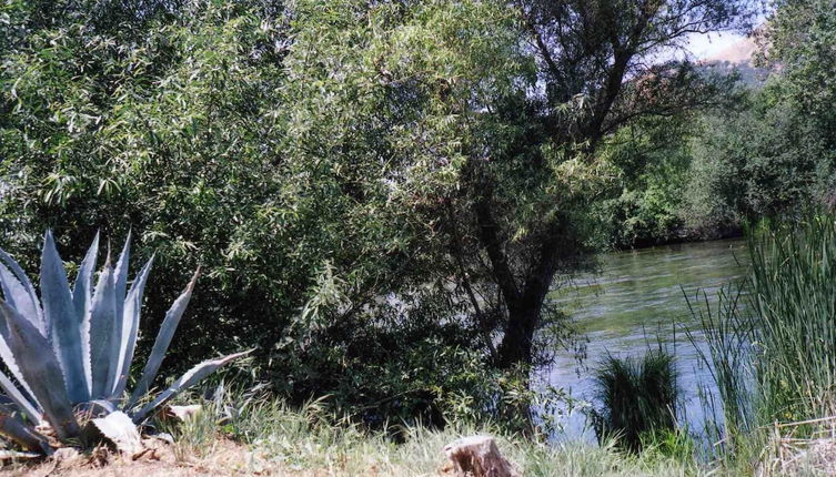 Photo 1 - Sequoia Riverfront Cabins