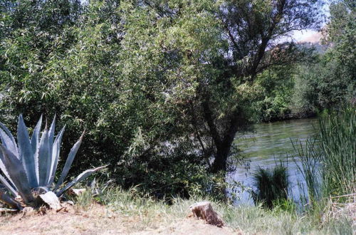 Photo 1 - Sequoia Riverfront Cabins