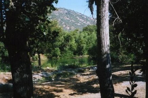 Photo 46 - Sequoia Riverfront Cabins