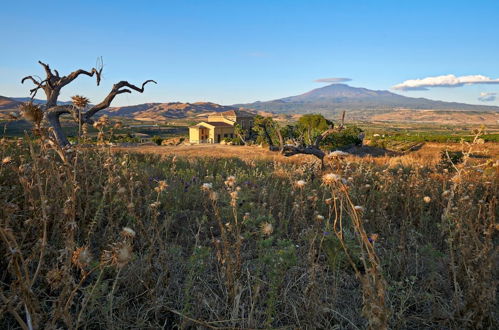 Foto 76 - Agriturismo Conte Ruggero