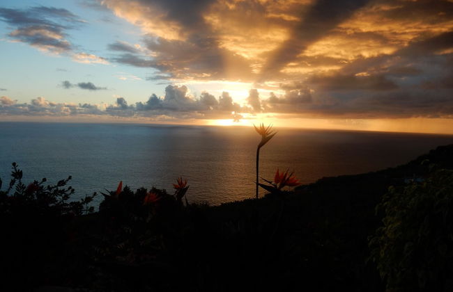 Apartamento do Sol - ETC Madeira - Foto 32