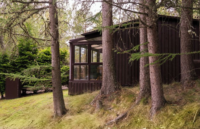 Macdonald Lochanhully Woodland Club - Foto 46