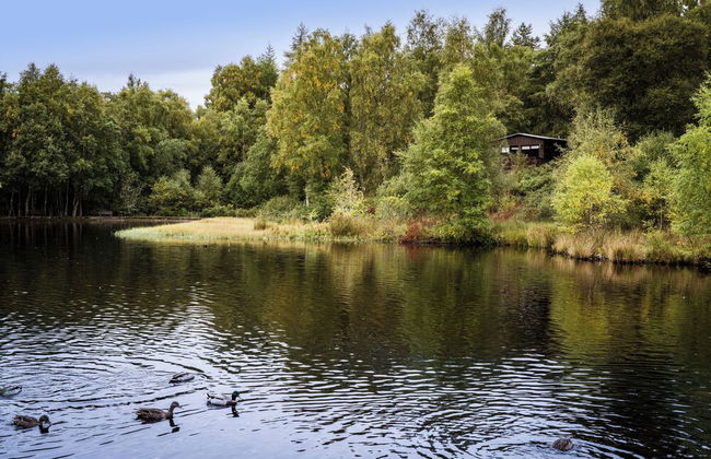 Macdonald Lochanhully Woodland Club - Foto 54