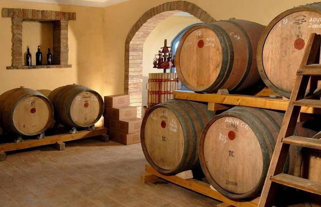 Verdidea - PODERE MONTI - Foto 62
