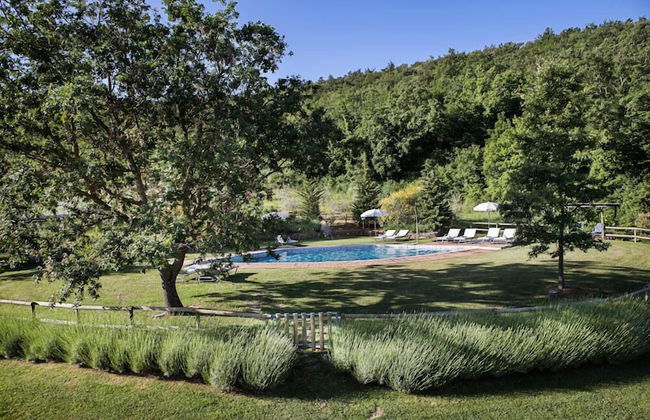 Verdidea - PODERE MONTI - Foto 71