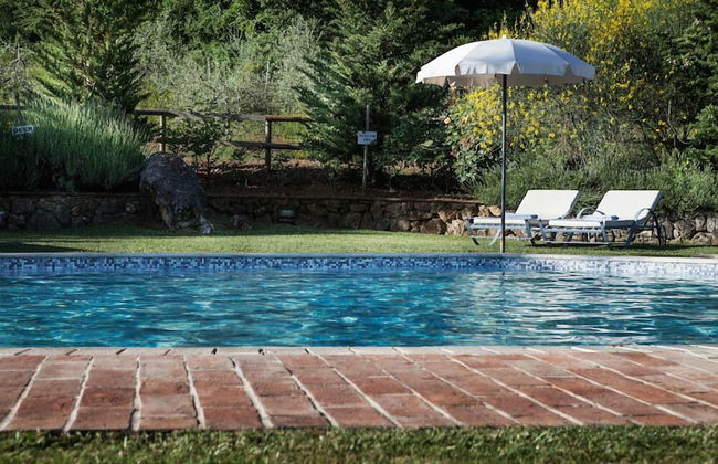 Verdidea - PODERE MONTI - Foto 58