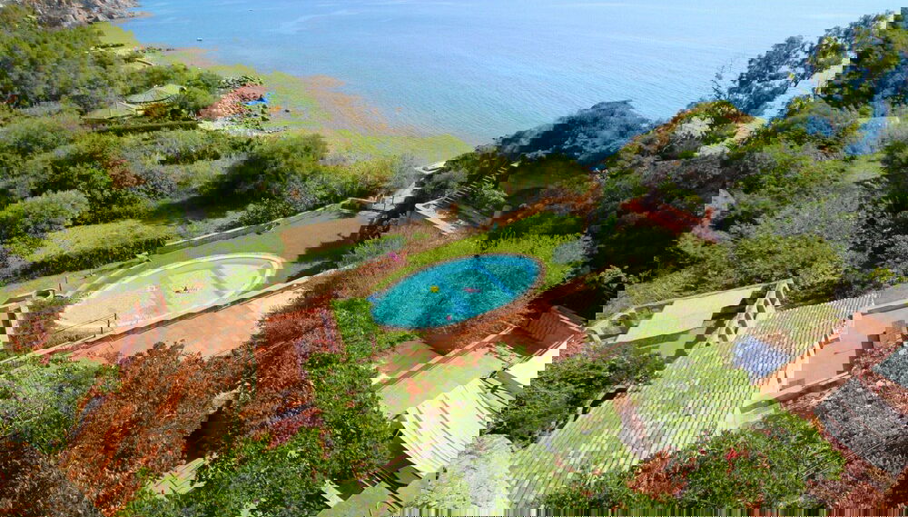 Primary image