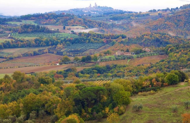 Spacious Tuscan Farmhouse - Foto 29