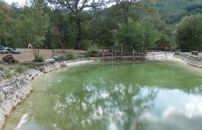 Tranquil Tuscan Retreat - Foto 24