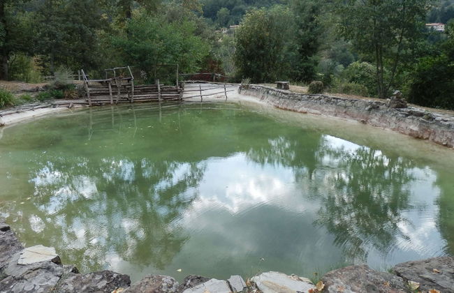 Tranquil Tuscan Retreat - Foto 27