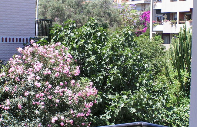 Anania - Foto 2
