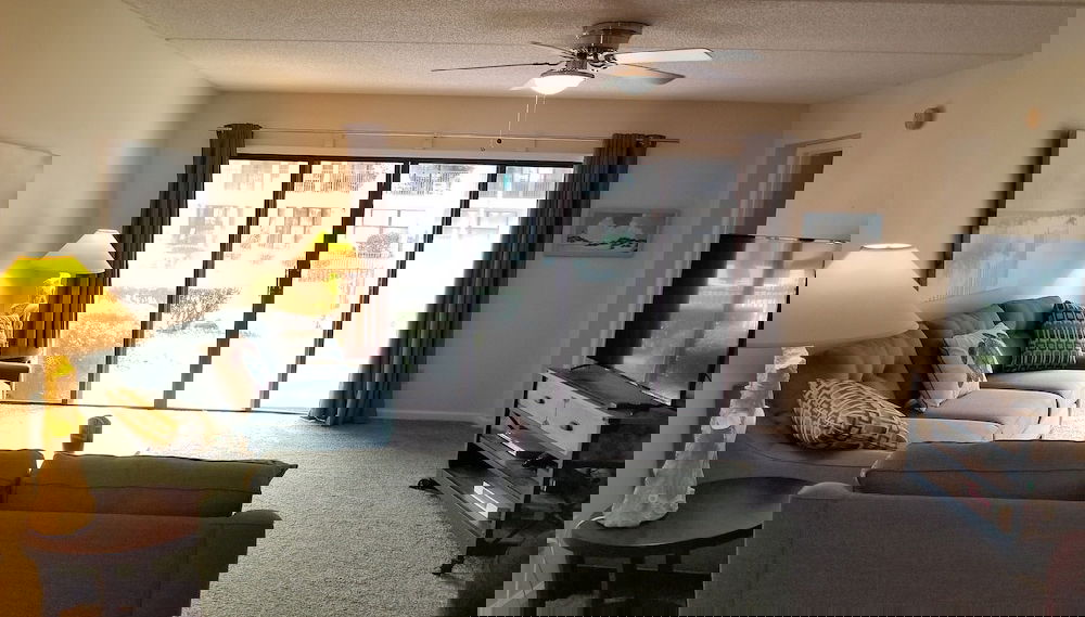 Imagem principal