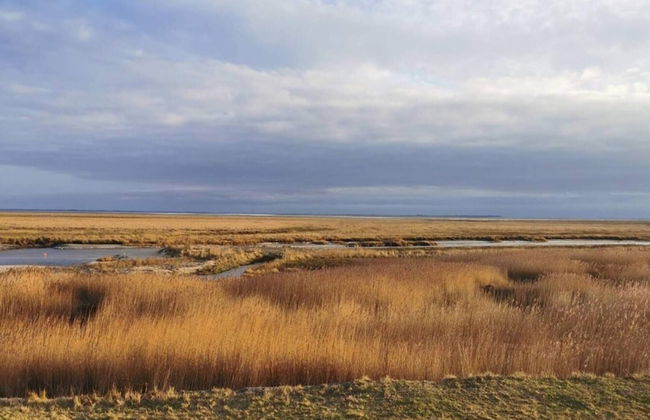 Traditional Holiday Home in Jutland near Sea - Foto 4