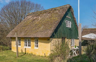 Photo 1 - Traditional Holiday Home in Jutland near Sea