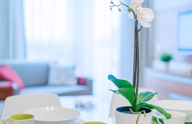 Apartamenty NCNK Marina - Foto 66