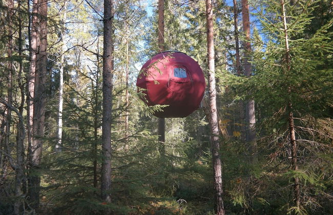 Näsets Marcusgård - Foto 7