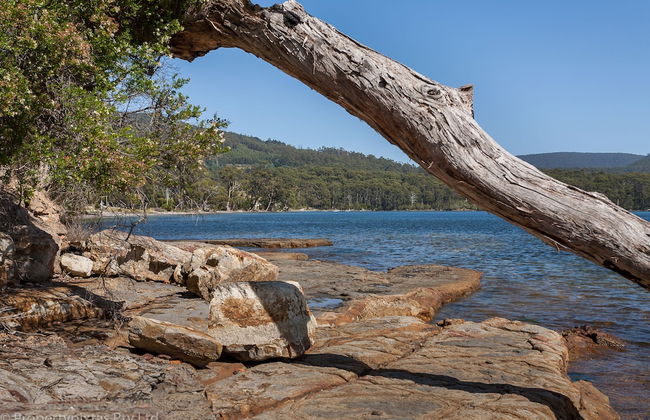 Bay Retreat Port Arthur - Foto 18