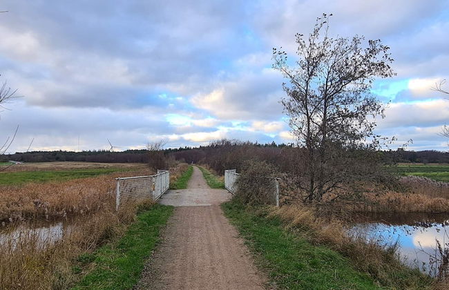 6 Person Holiday Home in Veslos-by Traum - Photo 6