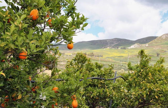 Tenuta Lanza Il Mulino - Foto 22