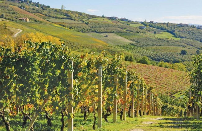 Apartment in Belvedere Langhe With Wine Views - Foto 25