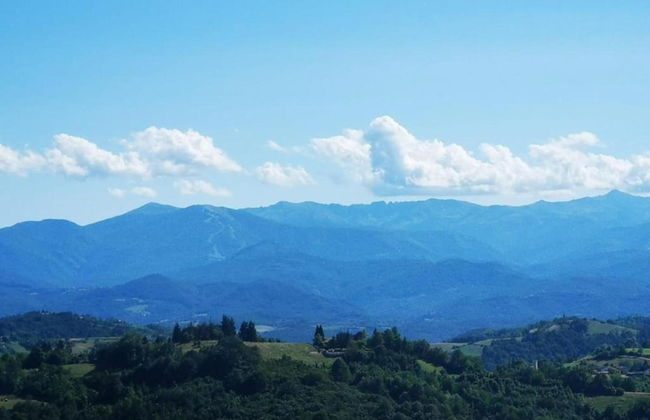 Apartment in Belvedere Langhe With Wine Views - Foto 28