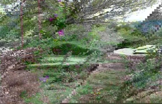 Gîte les Mésanges - Foto 19