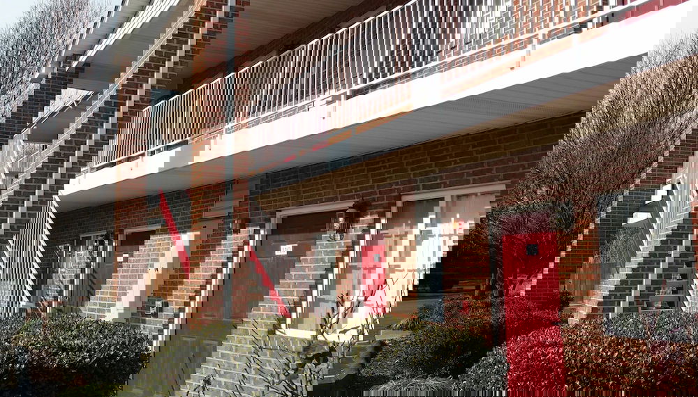 Image principale