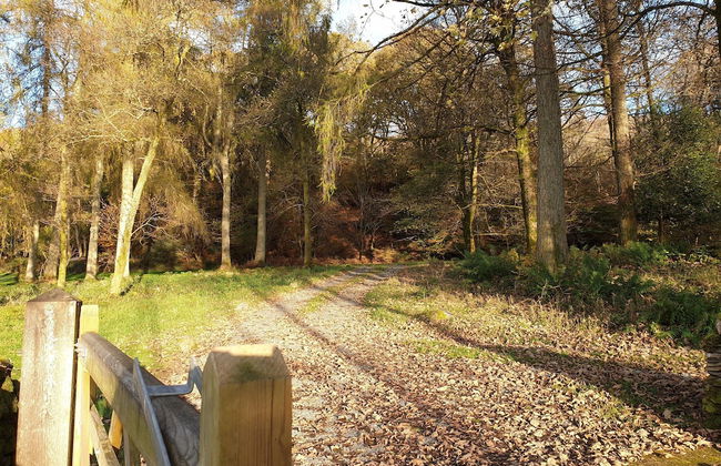 Larch Cottage - Photo 18