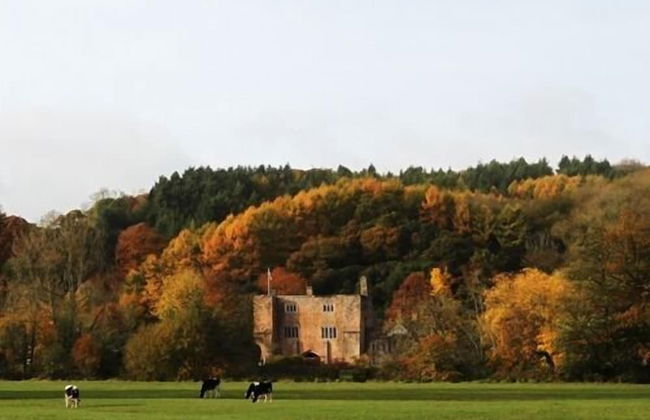 Bickleigh Castle Hotel - Foto 51