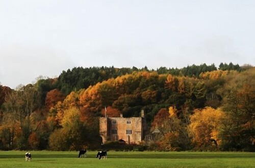 Foto 48 - Bickleigh Castle Hotel