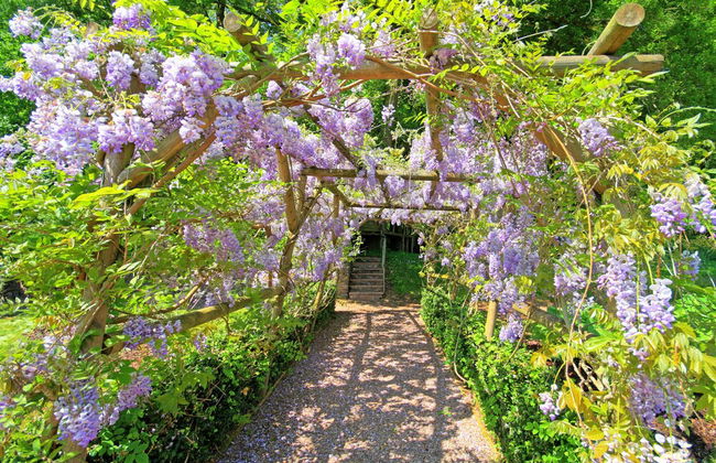 Bickleigh Castle Hotel - Foto 45