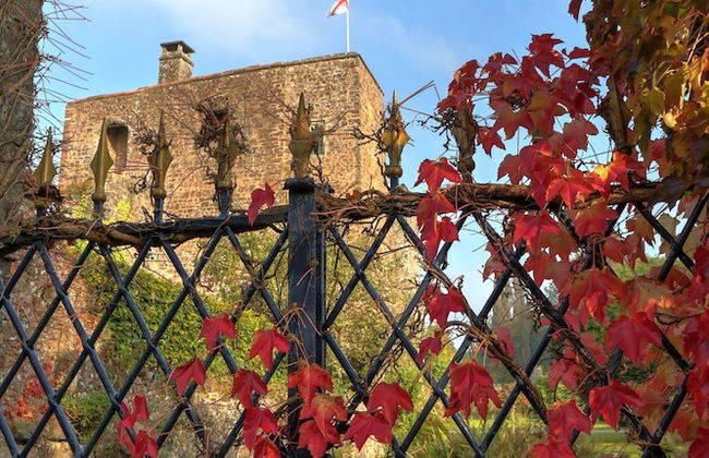 Bickleigh Castle Hotel - Foto 42