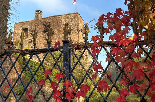 Foto 42 - Bickleigh Castle Hotel