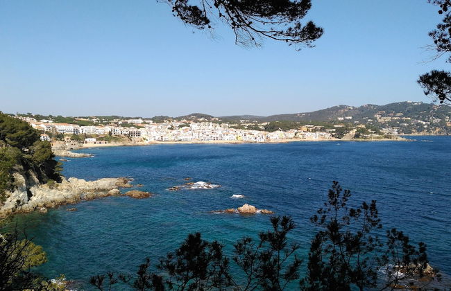 Apartaments Les Dunes - Foto 60