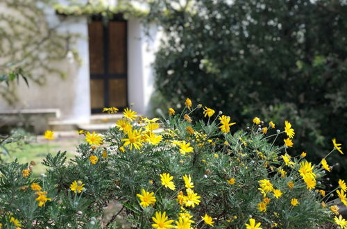 Photo 57 - Masseria La Torre