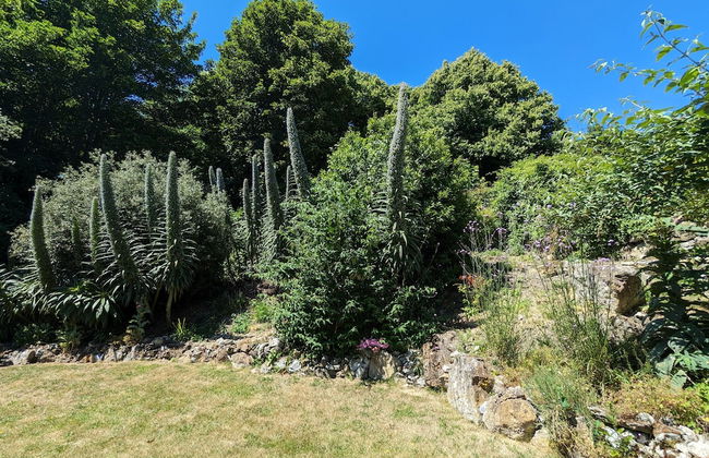 Baltija - Foto 24