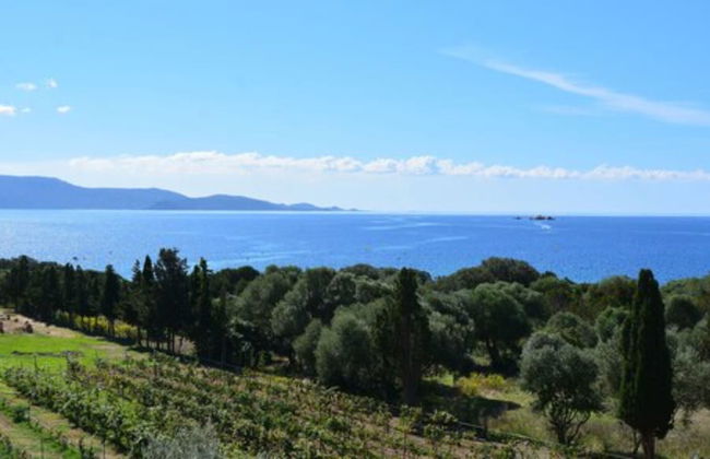 Les Terrasses Du Grand Large - Foto 60
