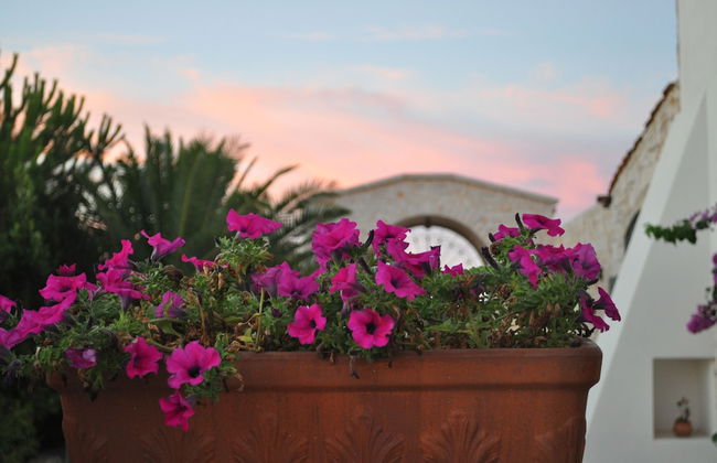 Agriturismo Masseria Del Crocifisso - Foto 59