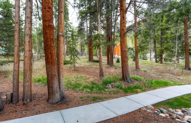 Forest Condominiums by Keystone Resort - Foto 52