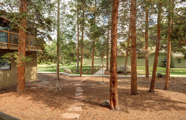 Forest Condominiums by Keystone Resort - Foto 79