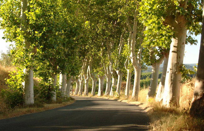 Chateau du Puits es Pratx - Photo 35