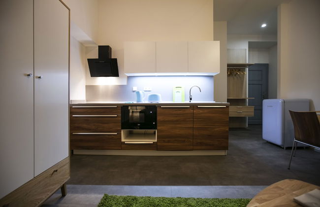 Apartments At The Blue Duckling - Foto 11