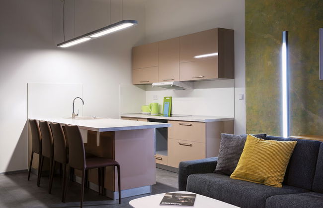 Apartments At The Blue Duckling - Foto 12