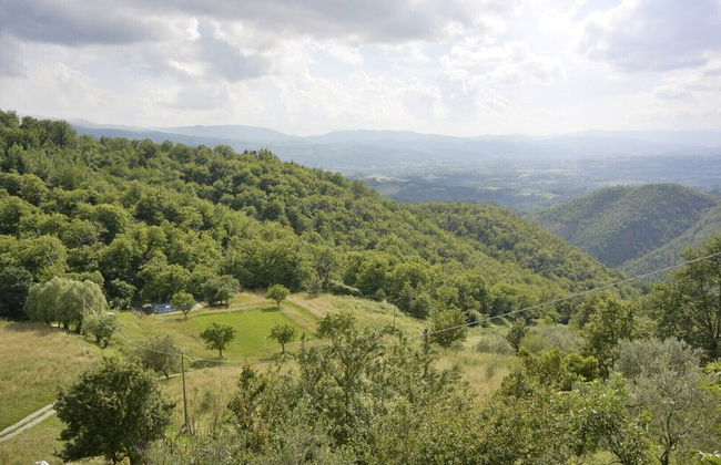 Apartment the Crocodile Feel the Nature - Foto 16